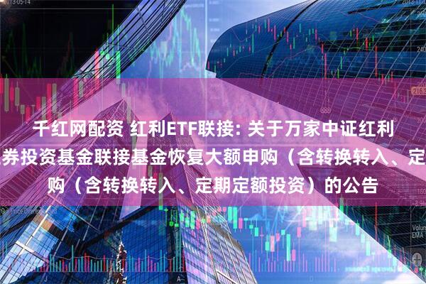 千红网配资 红利ETF联接: 关于万家中证红利交易型开放式指数证券投资基金联接基金恢复大额申购（含转换转入、定期定额投资）的公告