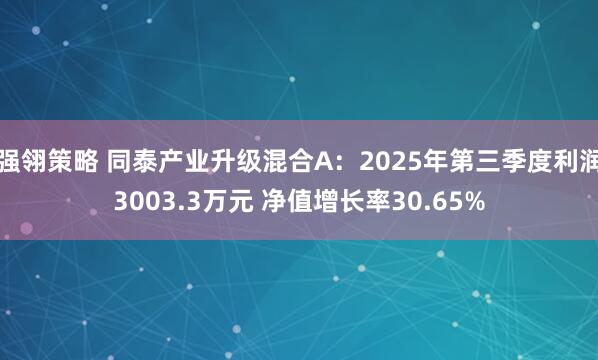 强翎策略 同泰产业升级混合A：2025年第三季度利润3003.3万元 净值增长率30.65%